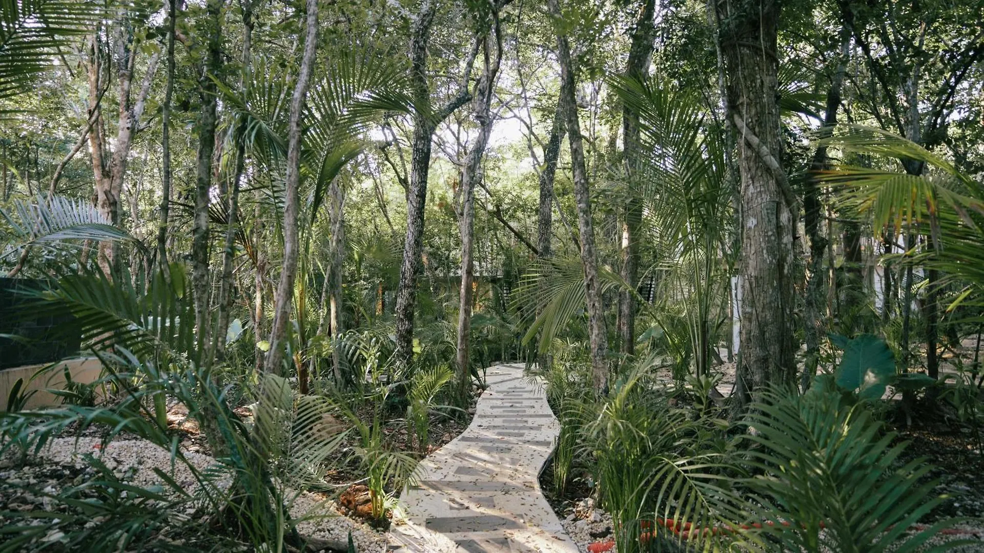 Vakantiehuis Tulum Jungle Villa Agua Chemuyil